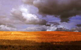 Fait Chaud sur le Coteau