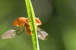 mmmm il fait bon au soleil