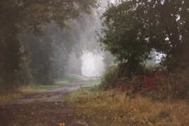 Un chemin qui chemine