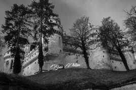 Château de Pierrefonds