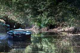 Marais de la Grande Brière 2