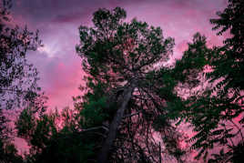 Coucher de soleil rose