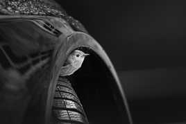 Pour Robin, ça roule !