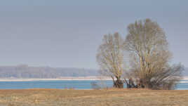 Lac du temple en hiver