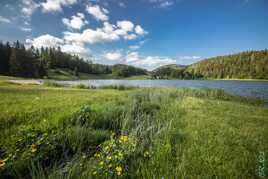 Lac Genin