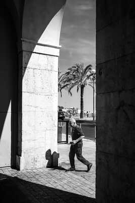 Chercher l’ombre