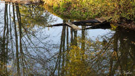 touché mais pas coulé