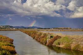 Salins Hyères