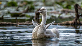 Ça y est, je vole...