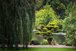 perdu parmi les grands