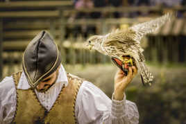 Le bal des oiseaux fantomes