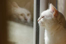 Malibue réflexion avec soi même