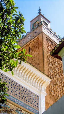 Minaret Tlemcen