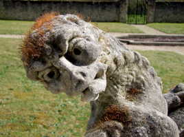 admirez mes poils sur mon caillou