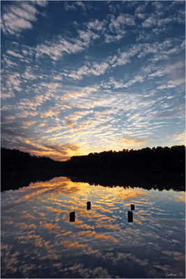 Reflet landais