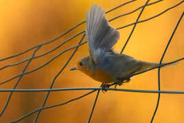 Méga recadrage de la mort qui tue