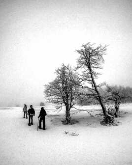 Randonnée en raquettes