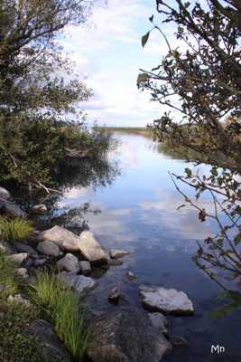 Bord de l'eau