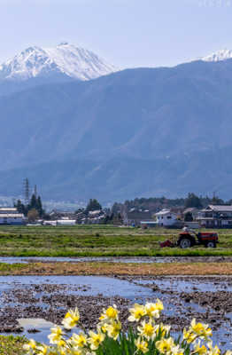 Alpes japonaises