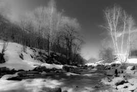 Le Lou fait le doron