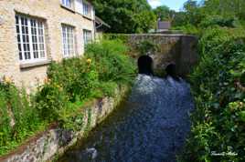 Au fil de l'eau