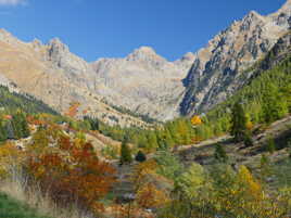 La magie de l'automne