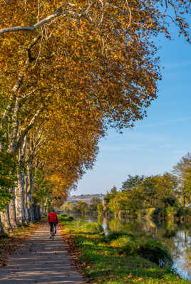 La Garonne (canal latéral)