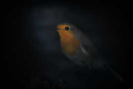 Un éclat de feu perce la nuit