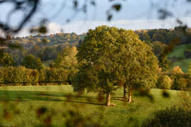 couleurs d'automne