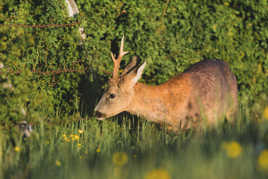 Sur la route du travail