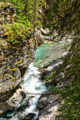 au long du Johnston Canyon