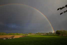 Juste devant ma porte