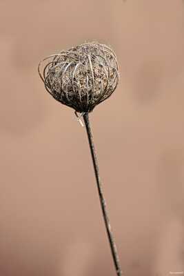 L'hiver est encore là