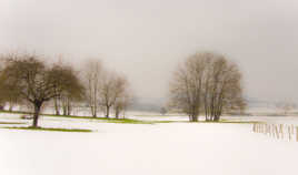 Paysage hivernal