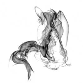 Volute !!!!