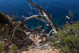 Les calanques