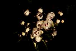 sous les derniers rayons de soleil