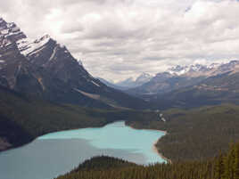 Le lac peyto avec sa forme de chien