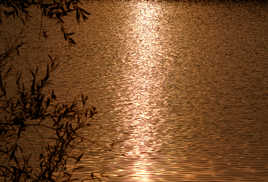 crépuscule dans la gravière brock