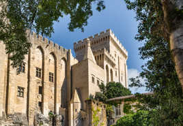 Palais des Papes