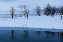 Les lumières magiques des Lofoten (4): le reflet