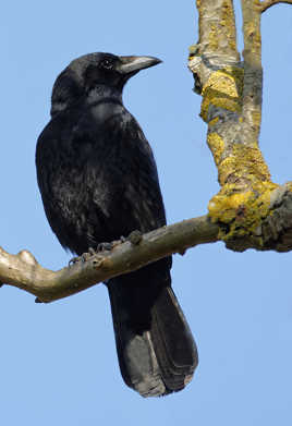 ... et je suis fier...