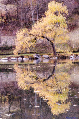 Lac du Lauzet