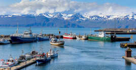 le calme avant la tempête