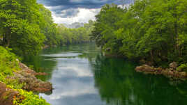 Se rappeler du printemps