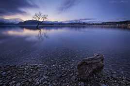 Edge of Lake Wanaka