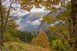 Une fenêtre sur l'automne