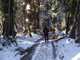 Soleil en intermittense