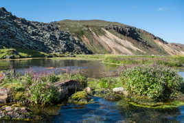 Dans les sources chaudes