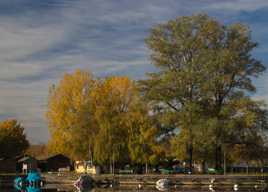 couleurs d'automne sur le port des Iris Yverdon-les-Bains (Suisse)